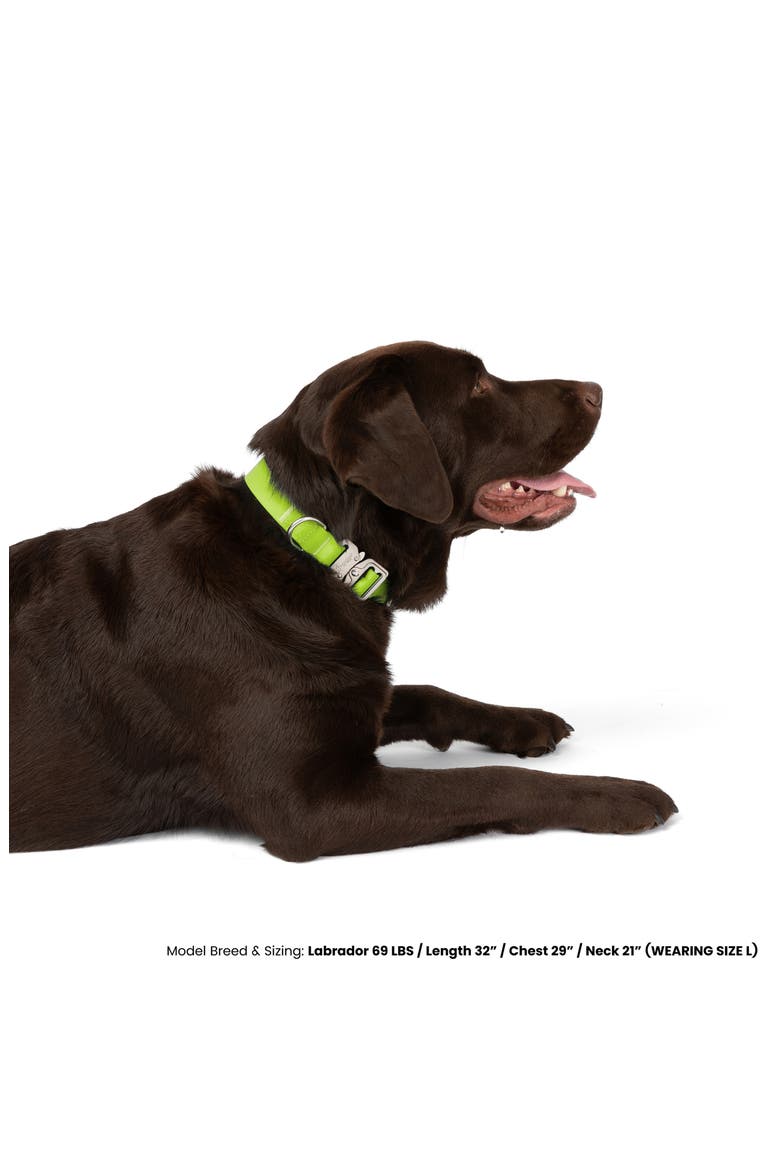 Waterproof Poly-Flex Sport Dog Collar, Alternate, color, Green
