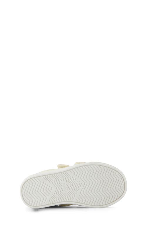 Toms Kids' Cruz Sneaker In Brown