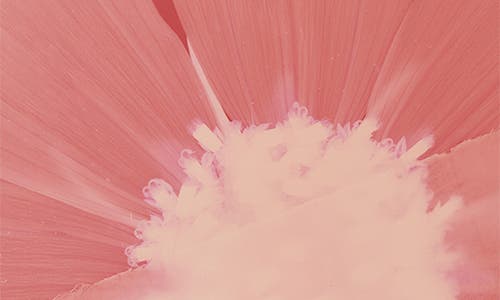 Chloé L'eau De Parfum Intense Set In Multi