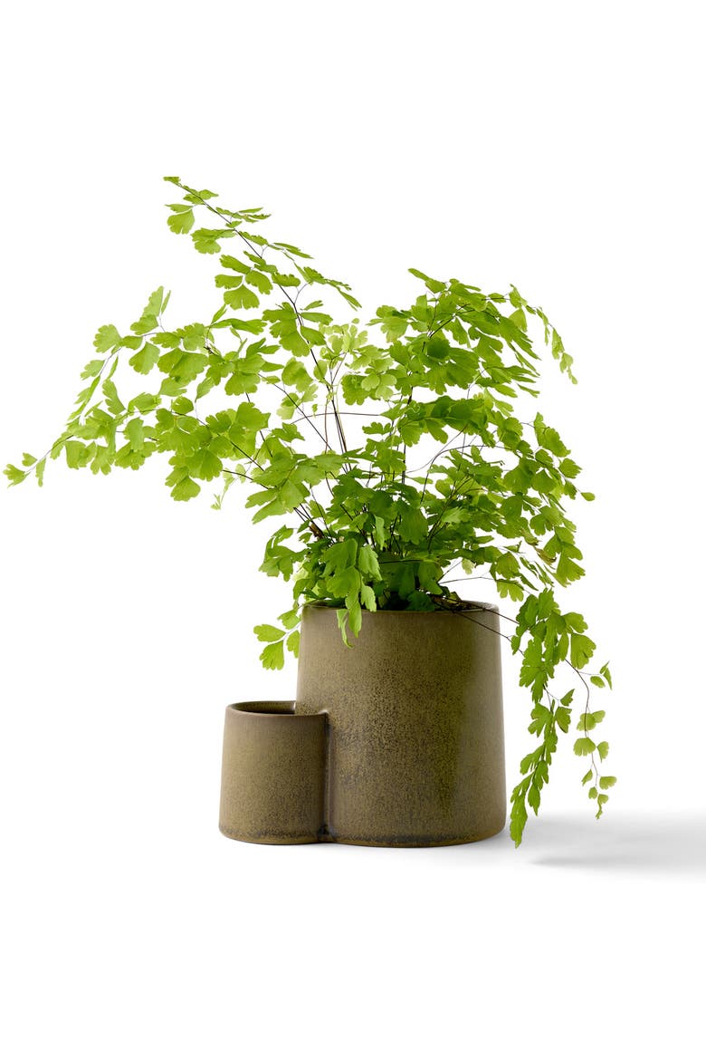Ember Earth Candle & Planter, Alternate, color, Rhizome