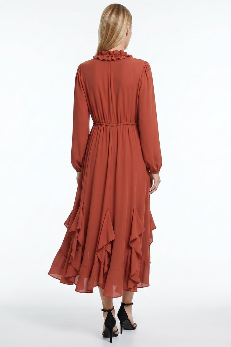 Long Sleeve Drawstring Waist Tiered Midi Dress, Alternate, color, CINNAMON