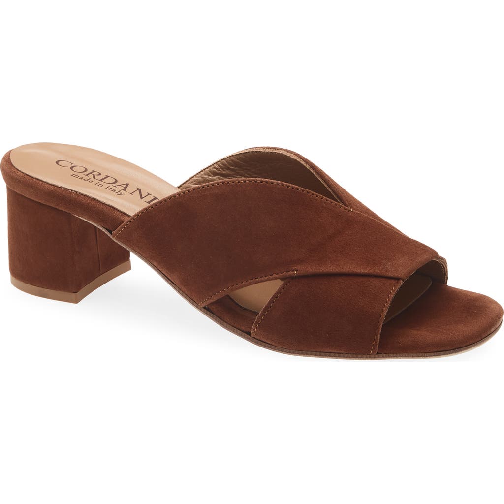 Cordani Ilene Slide Sandal In Brown