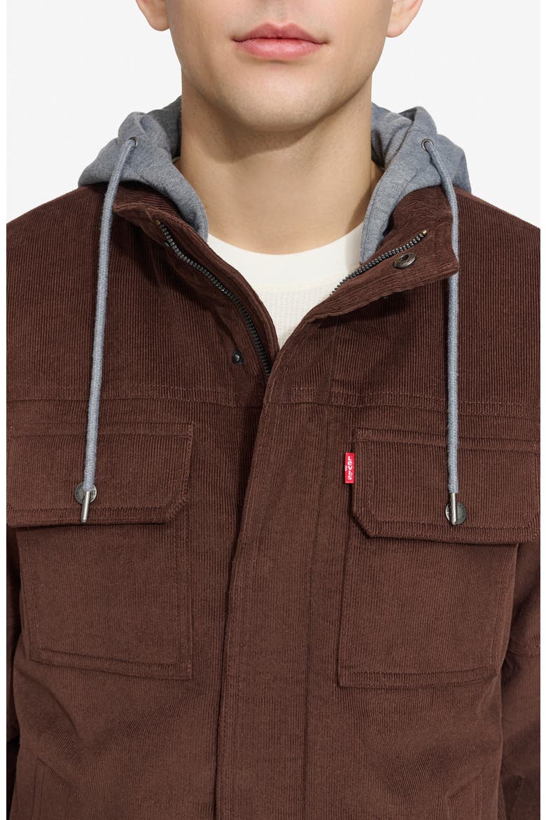 Hooded Corduroy Jacket, Alternate, color, CHOCOLATE BROWN
