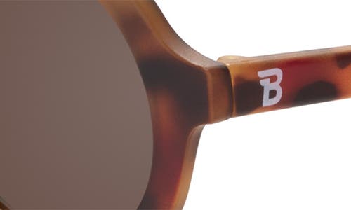 Babiators Kids' Euro Round Sunglasses In Brown