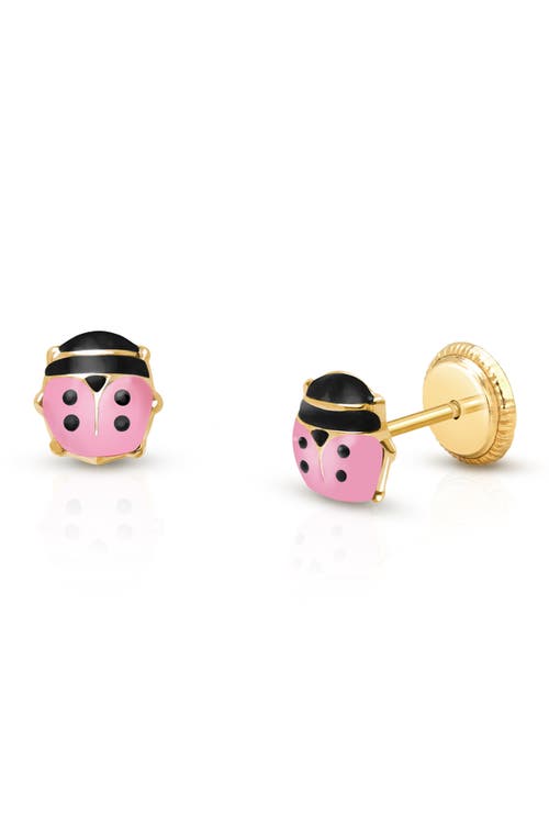 Tiny Blessings 14k Gold Pink Lil' Ladybug Studs Screw Back Earrings In Gold