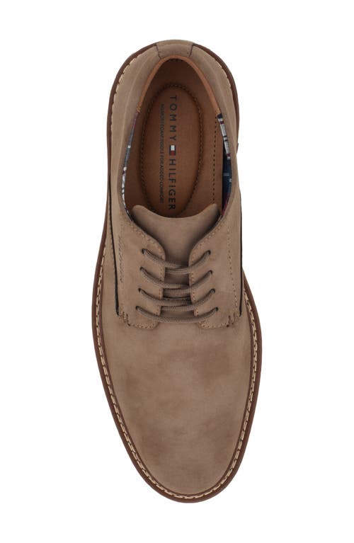 Tommy Hilfiger Hiday Derby In Tau01 - Taupe