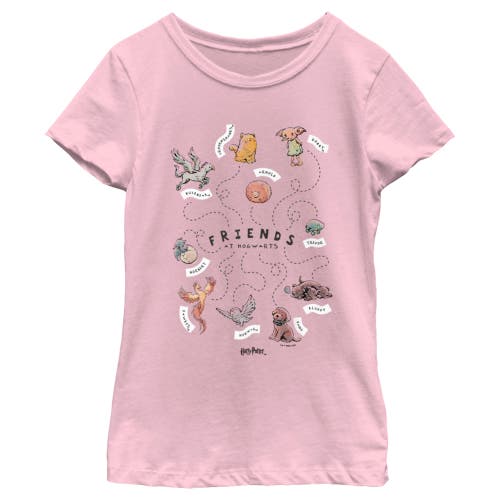 Girl's Harry Potter Animals and Pets from Hogwarts  Graphic T-Shirt in Light Pink  product