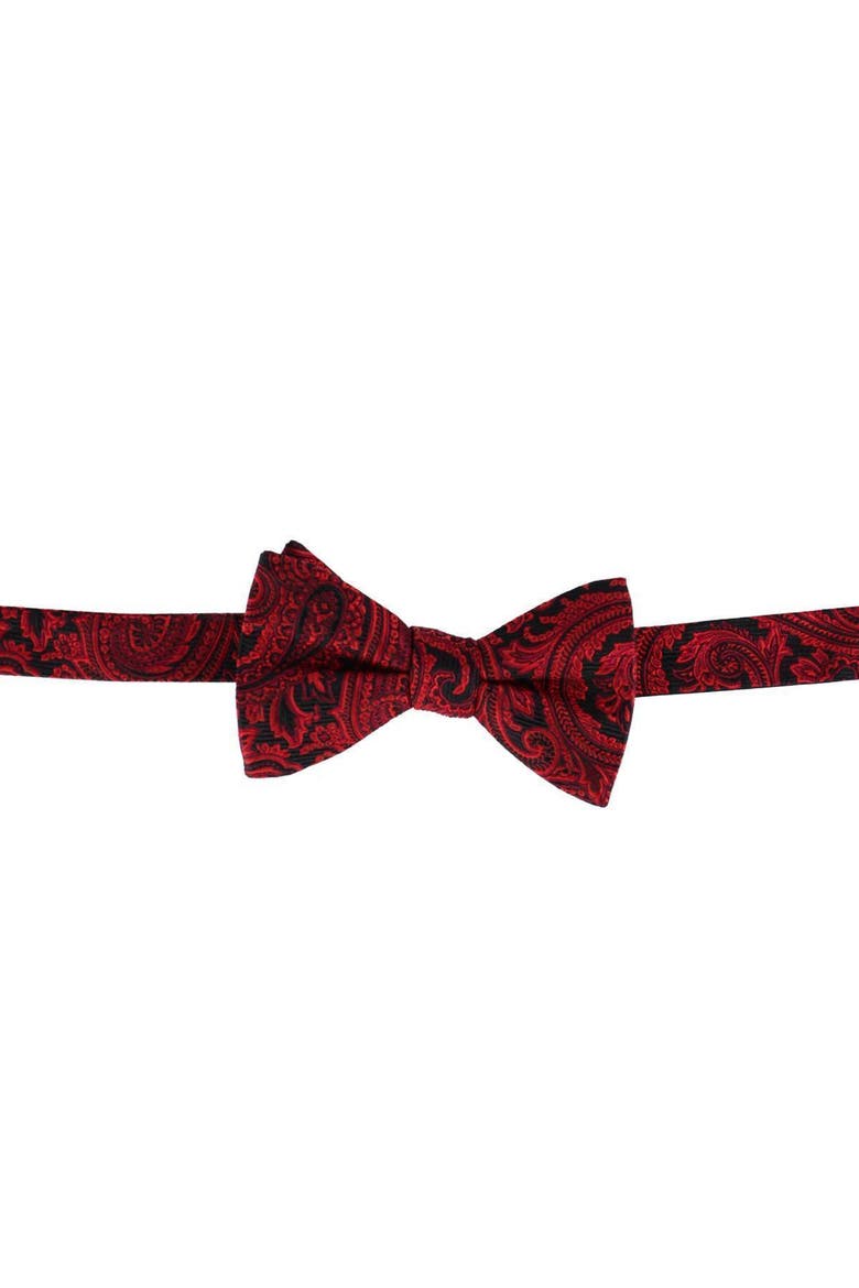 Sobee Paisley Silk Brace and Bow Tie Set, Alternate, color, Red