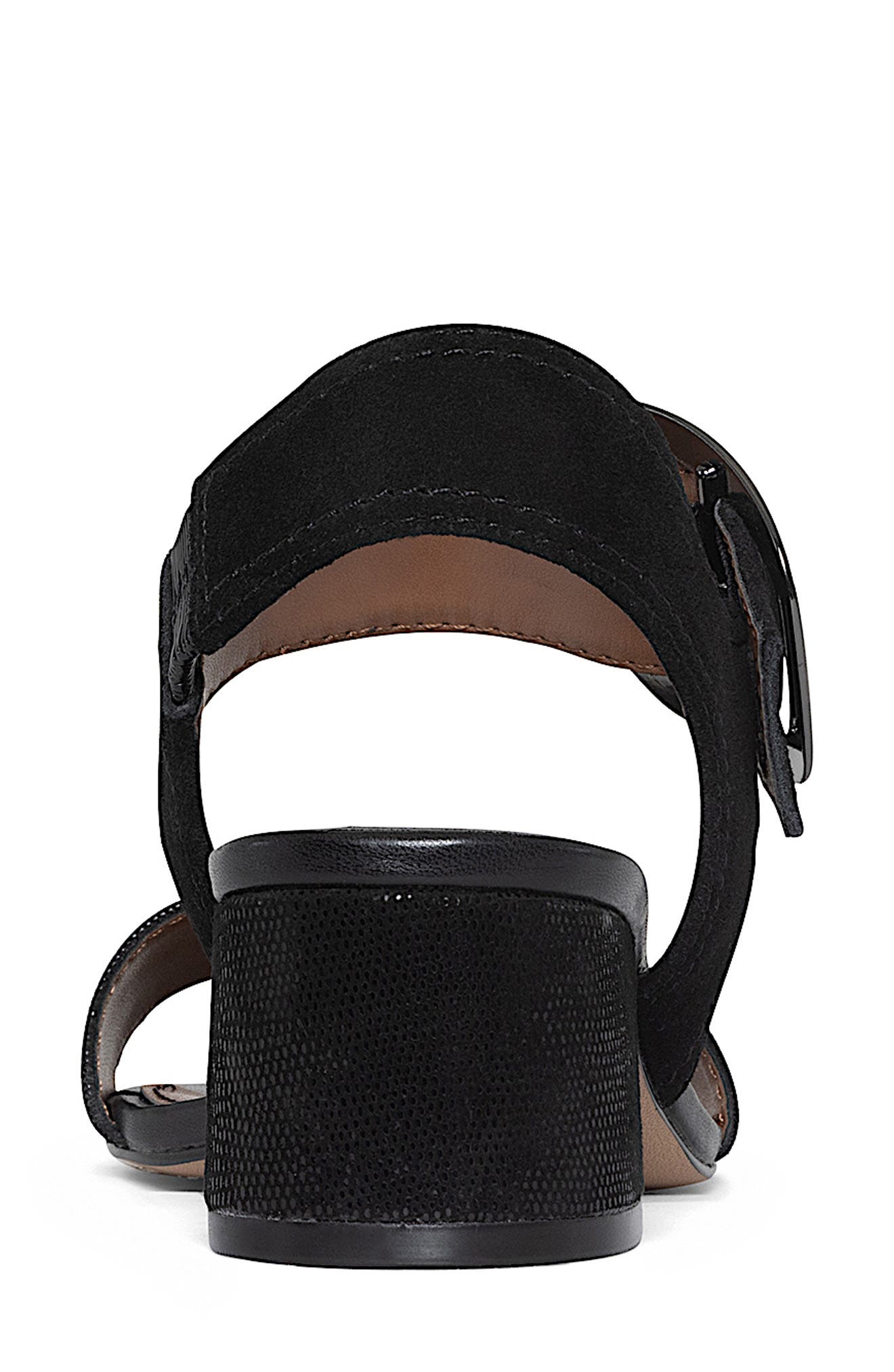 Donald Pliner Ankle Strap Sandal, Alternate, color, Black