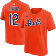 Nike Youth Nike Francisco Lindor Orange New York Mets Name & Number T-Shirt