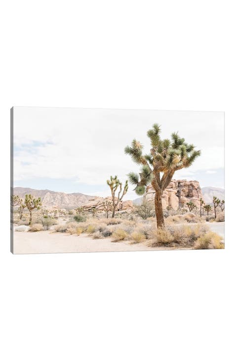 Joshua Tree, Mohave Desert by lovelylittlehomeco Canvas Wall Art