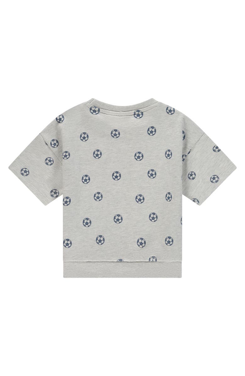 Stains and Stories by Babyface Pullover Short Sleeve Sweat Top, Alternate, color, Light Grey Melee