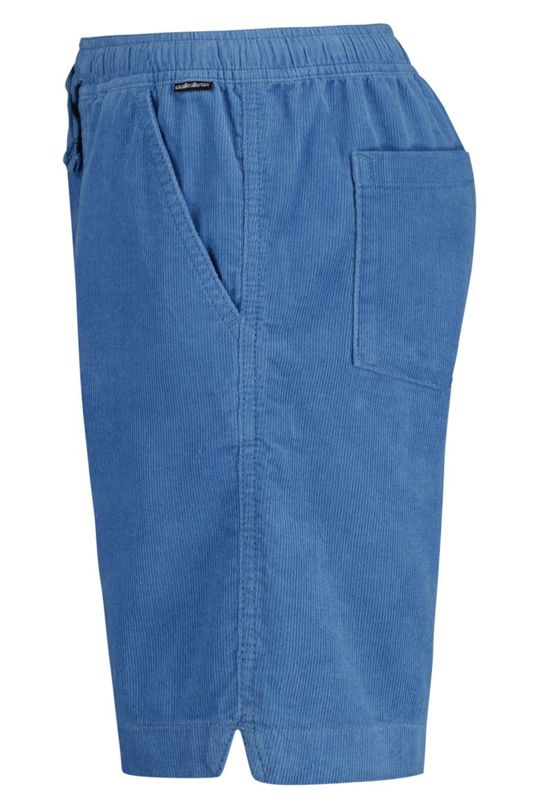 Kids' Taxer Corduroy Shorts, Alternate, color, RIVIERA