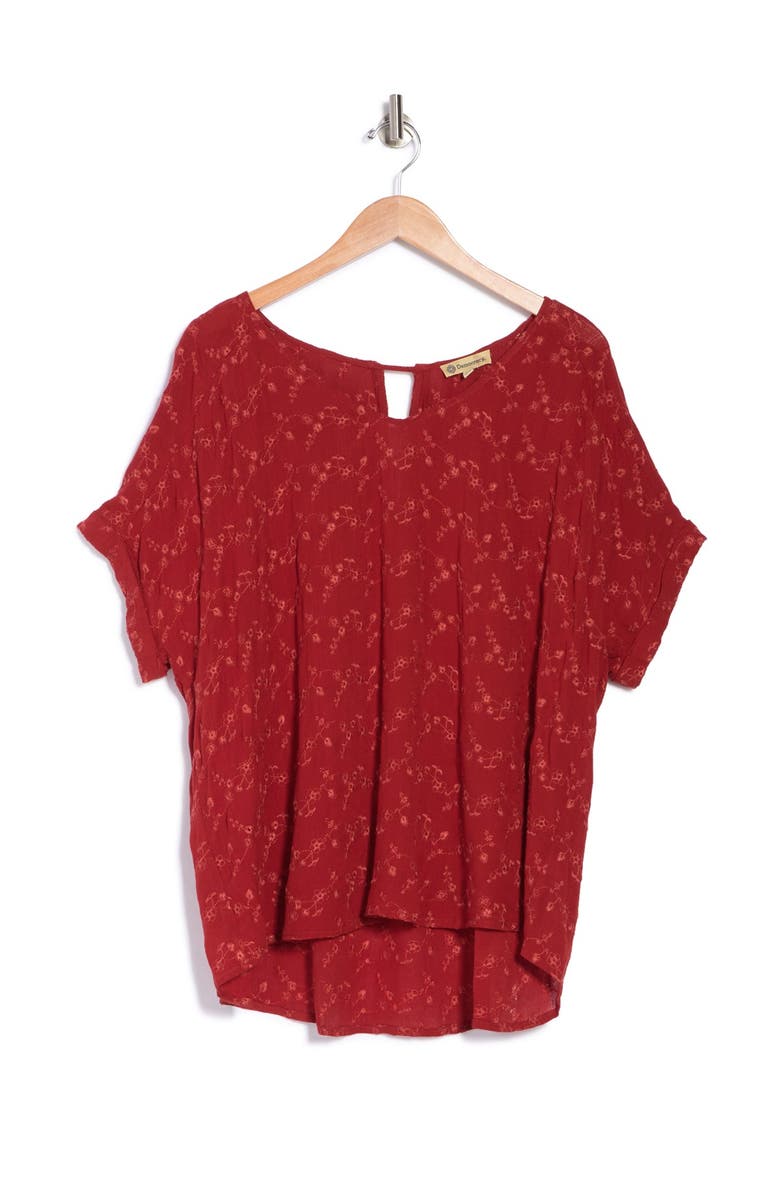 Democracy Short Rolled Sleeve V-Neck Embroidered Blouse, Alternate, color, 