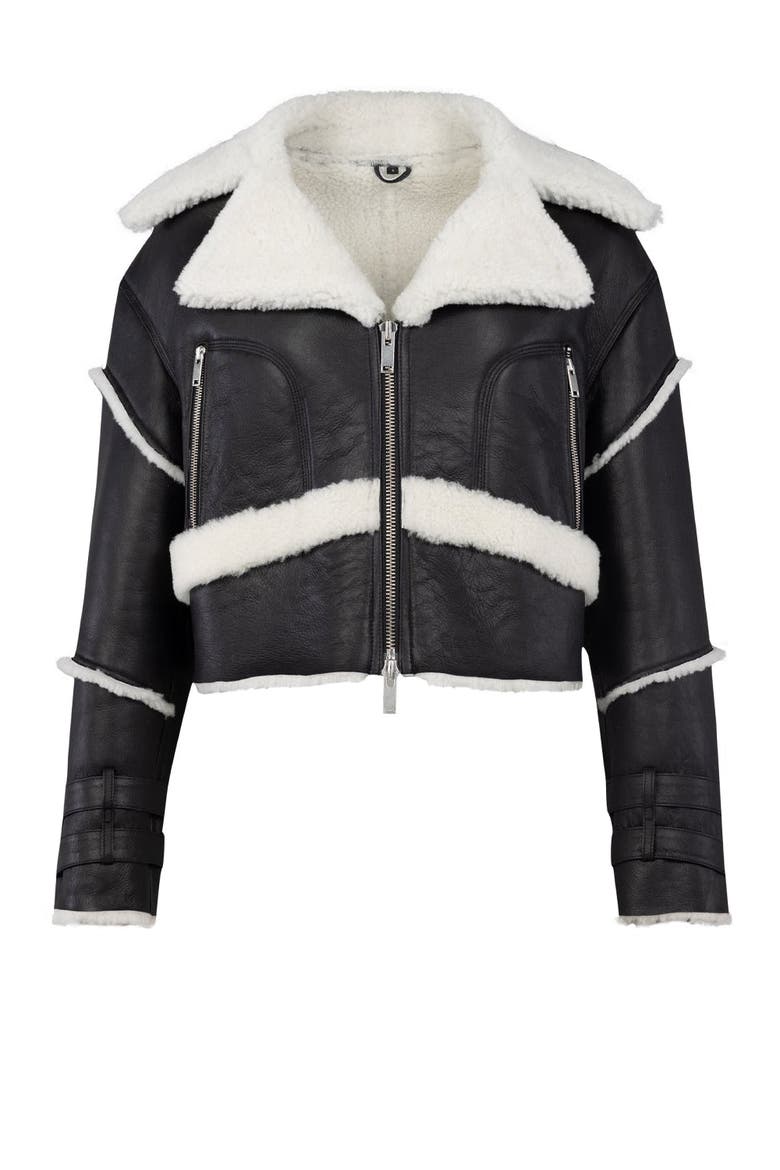 Your *Itch Furry Leather Jacket, Alternate, color, BLACK