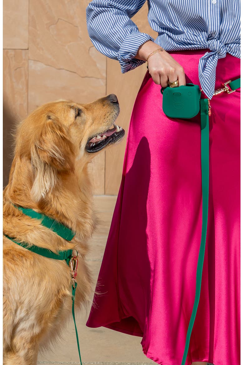 Dog Treat Pouch, Alternate, color, MEADOW GREEN