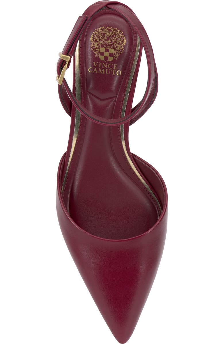 Vince Camuto Irva Ankle Strap Pointed Toe Pump, Alternate, color, Chianti