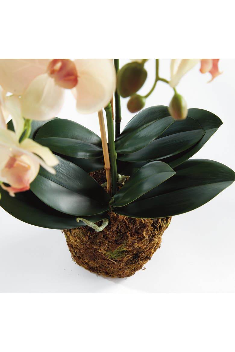 Phalaenopsis Orchid Artificial Plant Drop-In, Alternate, color, Pink