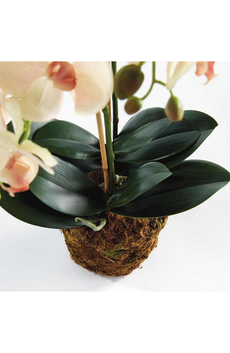 Napa Home & Garden Phalaenopsis Orchid Artificial Plant Drop-In, Alternate, color, Pink