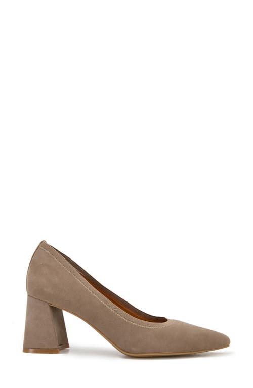 Gentle Souls Dionne Pointed Toe Pump In Brown