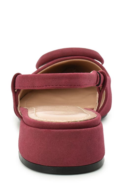 Nicole Miller Frame Slingback Pump In Burgundy Nubuck