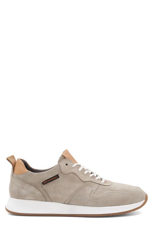 Bruno Magli Capri Sneaker In Grey Suede