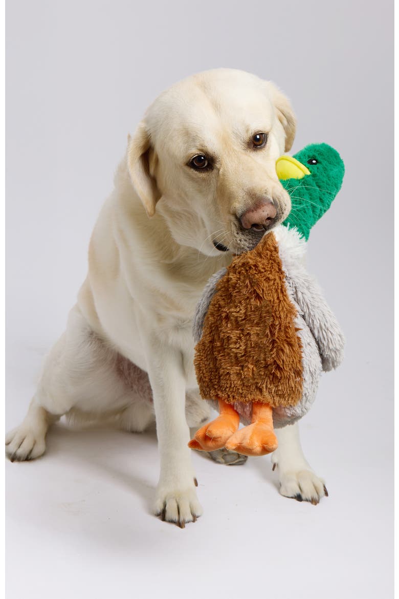 Mallard Pet Toy Warmies, Alternate, color, Multi Color