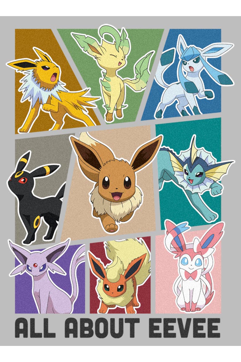 Men's Pokemon All About Eevee Eeveeloution Graphic Tee, Alternate, color, Athletic Heather