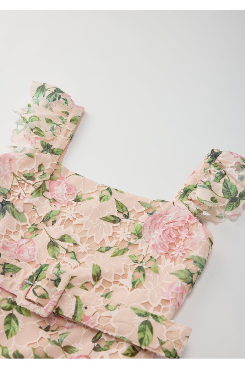 Leonora Embroidered Mini Dress, Alternate, color, Floral
