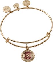 Alex and Ani Harry Potter™ Gryffindor House Charm Bangle Bracelet