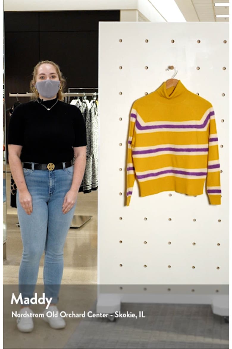 Stripe Boiled Wool Turtleneck Sweater video