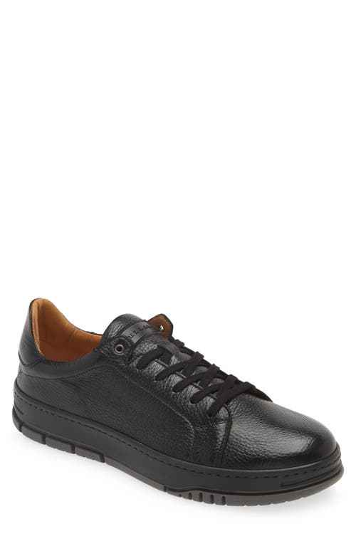 Mezlan Grazia Sneaker in Black 