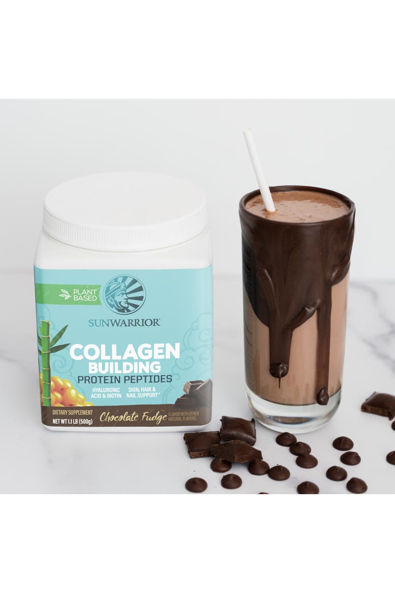 Collagen Building Protein Peptides Powder, Chocolate Fudge, 500gm, Alternate, color, No Color