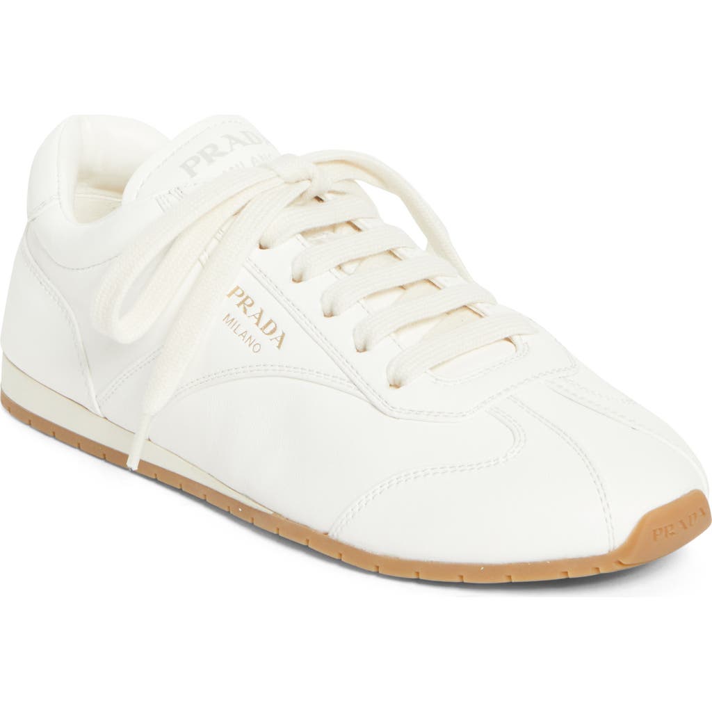 Prada Low Top Sneaker In White