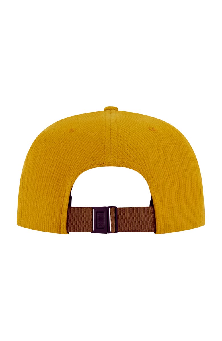 Element Low Profile Flat Brim Cap in Ribbed Cotton, Alternate, color, Coffee