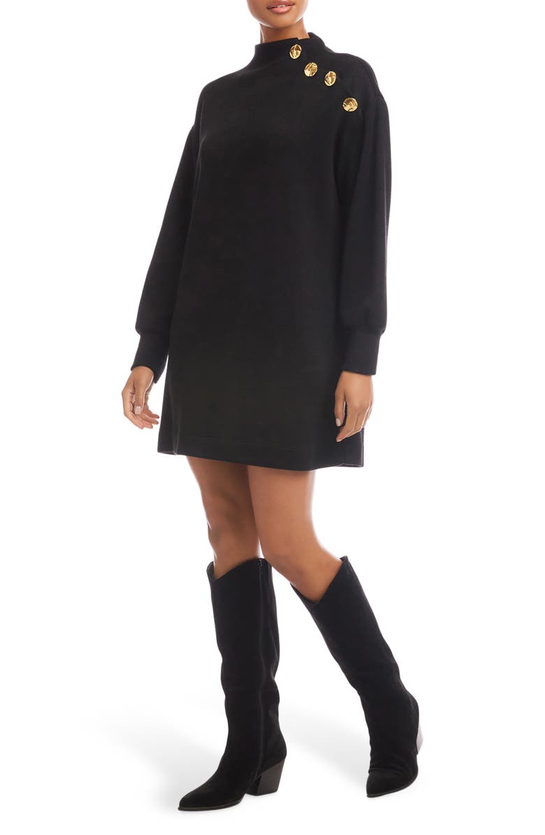 FIFTEEN TWENTY Brenna Funnel Neck Long Sleeve Knit Dress, Alternate, color,