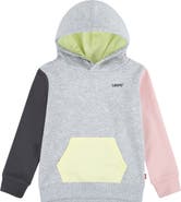 Levi's Colorblocked Hoodie