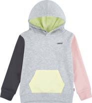 Levi's Colorblocked Hoodie