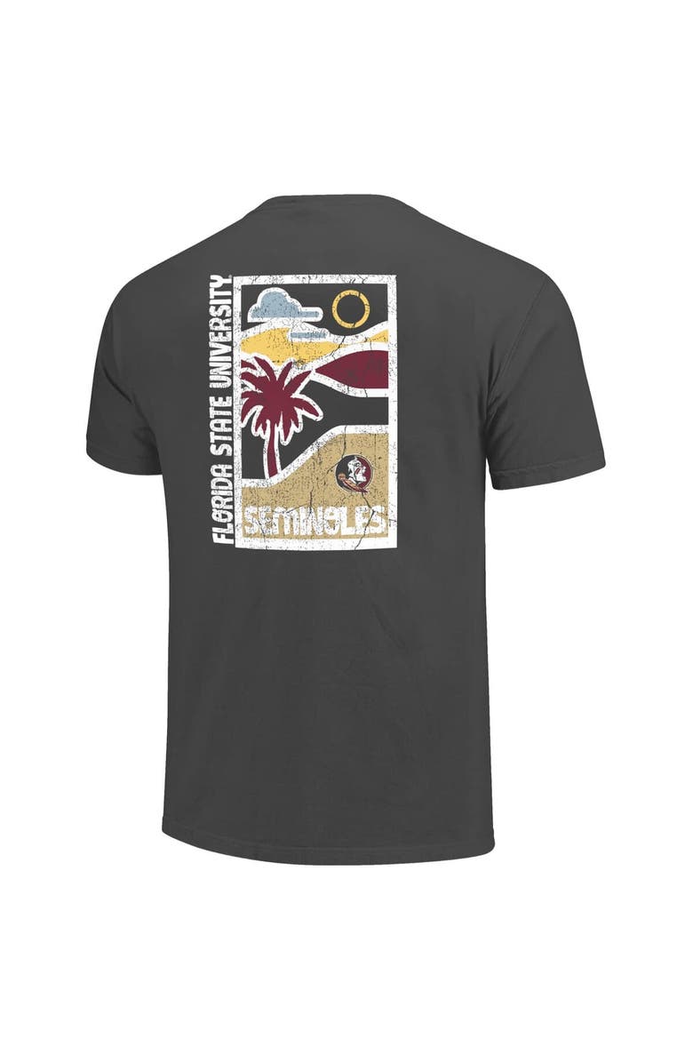 IMAGE ONE Men's  Graphite Florida State Seminoles Comfort Colors Minimal Vista Distressed Graphics T-Shirt, Alternate, color, 
