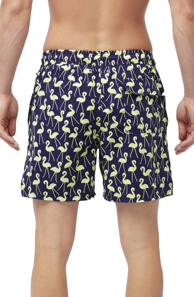 Tom & Teddy Flamingo Print Swim Trunks, Alternate, color, 