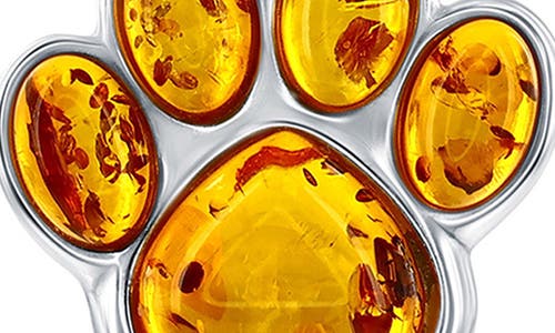 Simona Sterling Silver Amber Paw Pendant Necklace In Orange