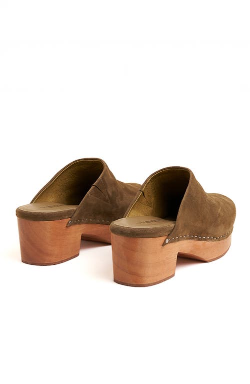 Charlotte Stone Martino Platform Clog In Green