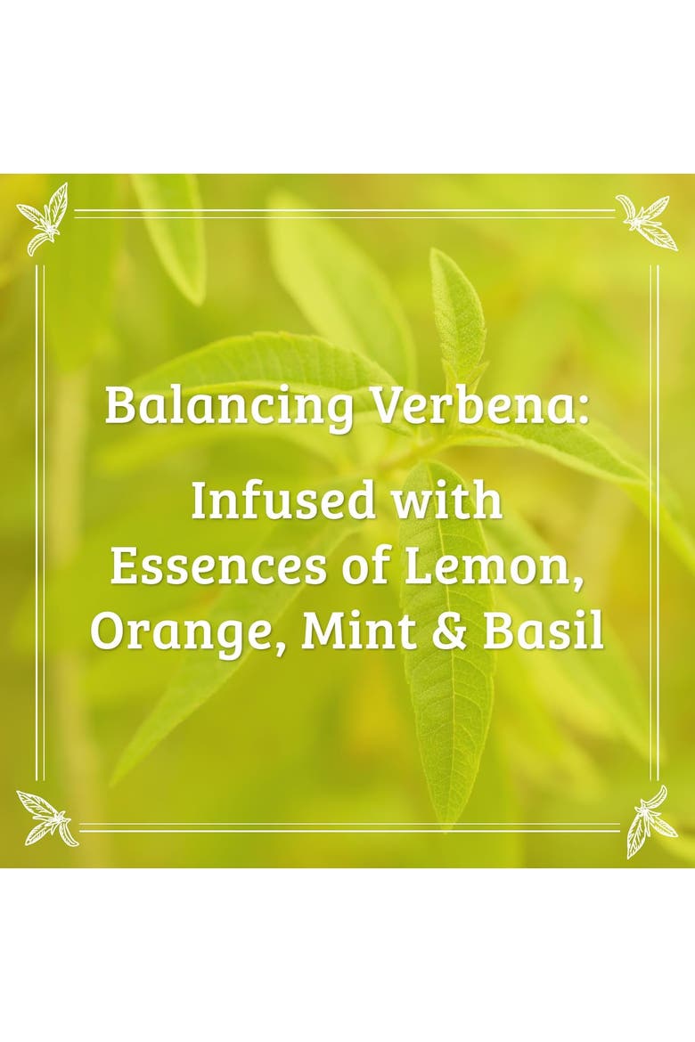 Verbena Essentials Bundle - Shampoo, Conditioner, Body Wash, Body Lotion, Alternate, color, White