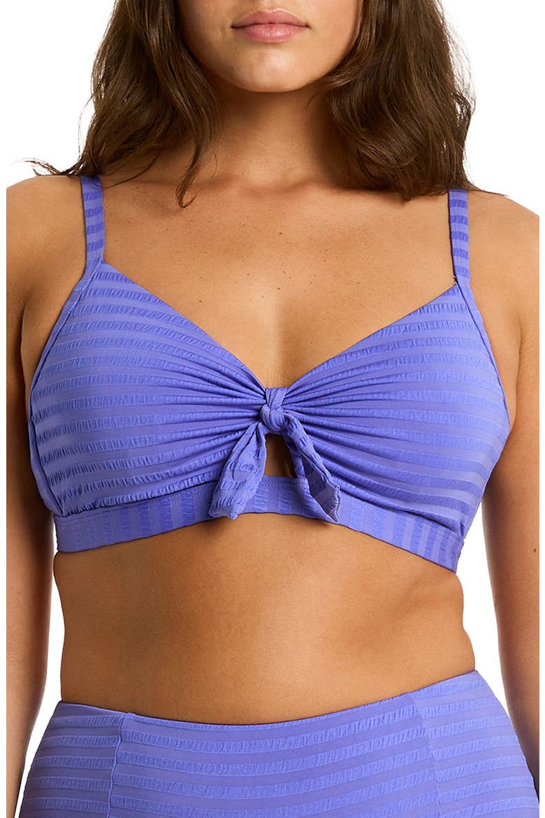 Capri Tie Front DD- & E-Cup Bikini Top, Main, color, IRIS