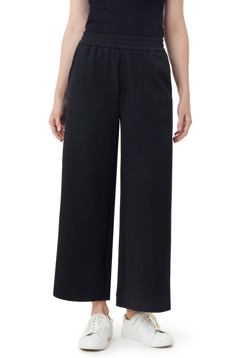 Crop Wide Leg Pants, Main, color, BLACK NIGHT
