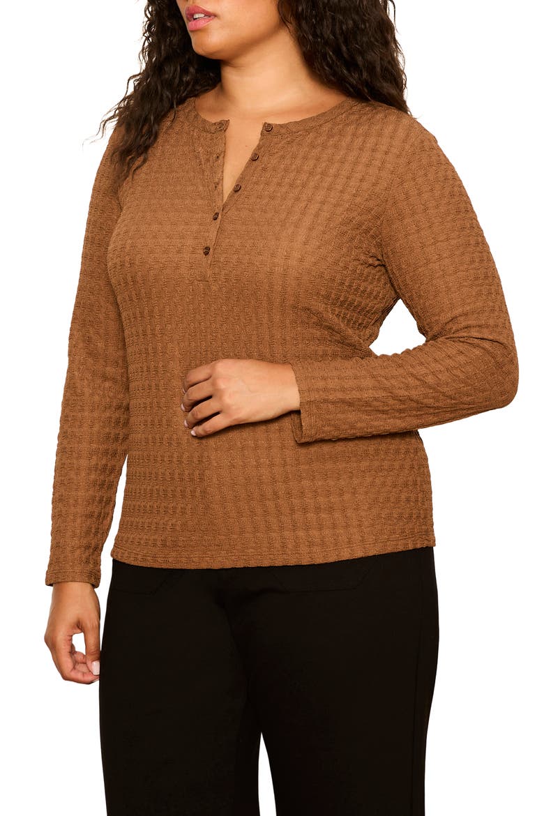 Not So Basic Textured Henley Top, Alternate, color, COCOA POWDER BROWN