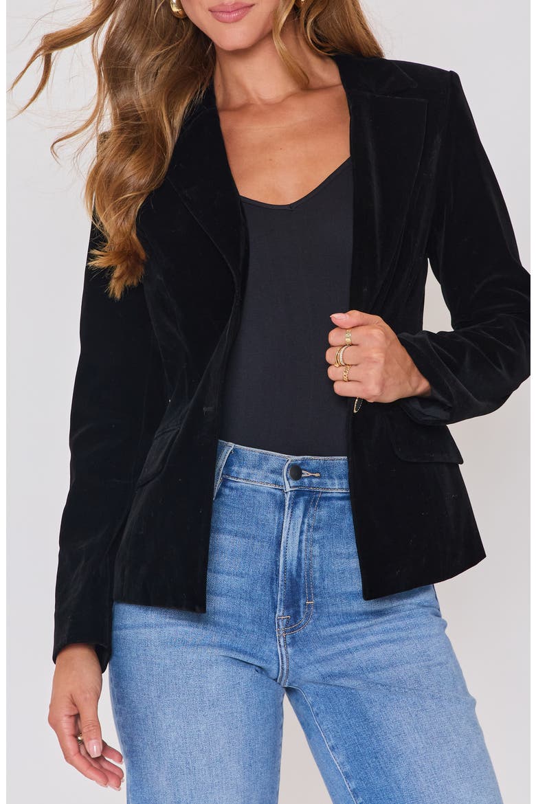 Polished Way Velvet Blazer, Alternate, color, BLACK