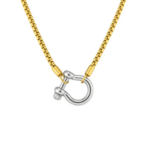 Hollywood Sensation Lucky Lock Carabiner Necklace Two Tone Mixed Metal Horseshoe Pendant Chain