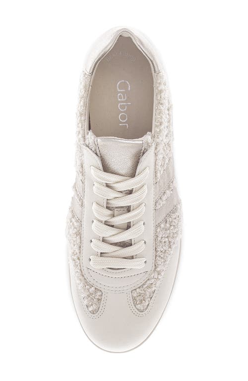 Gabor Teddy Wool Sneaker In Multi