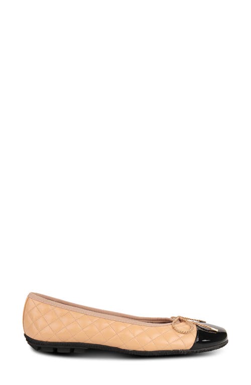 Paul Mayer Cozy Quilted Cap Toe Ballet Flat In Multi